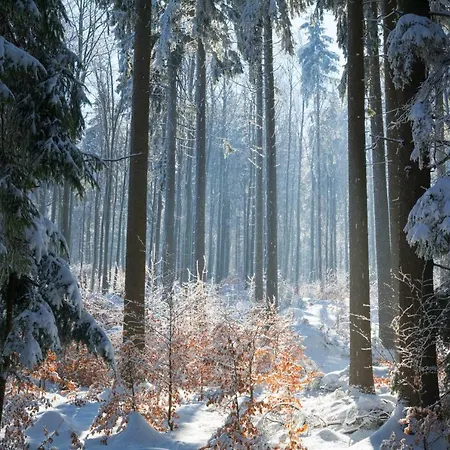Vakantieboerderij Sloszowka