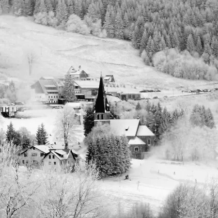 Vakantieboerderij Sloszowka *
