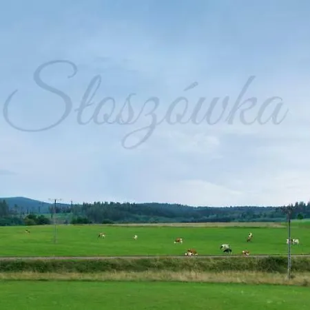 Sloszowka