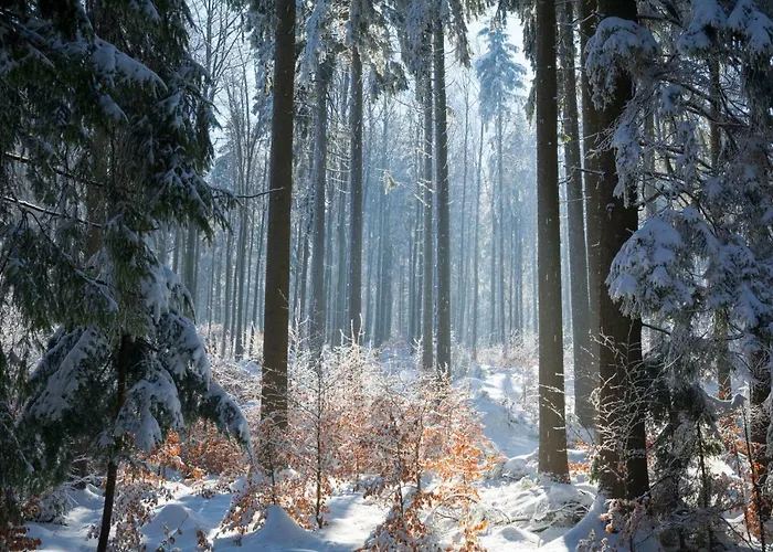 Alojamento de Turismo Rural Słoszówka