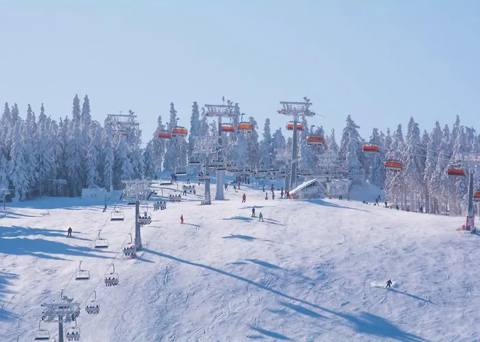 Słoszówka * Duszniki Zdrój